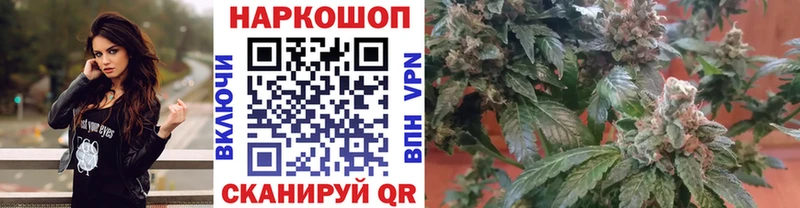 Где купить Няндома КОКАИН OMG маркетплейс Мефедрон ГАШИШ Бошки Шишки