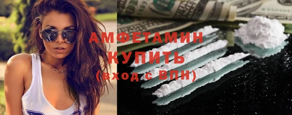 ГАЛЛЮЦИНОГЕННЫЕ ГРИБЫ Елабуга