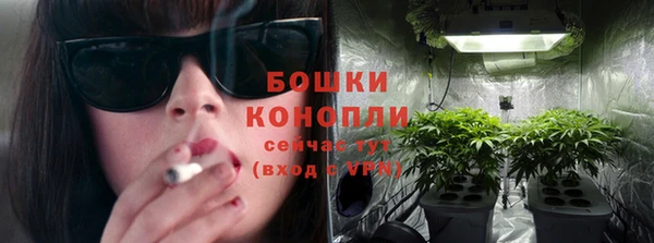 крисы Гусев