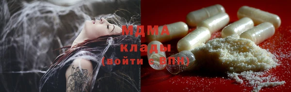 СК Ельня