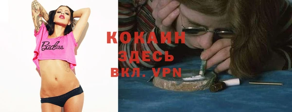 крисы Гусев