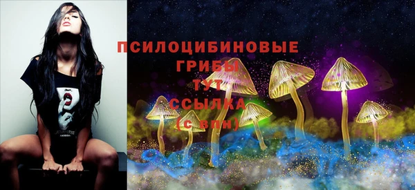 МДМА Гусь-Хрустальный