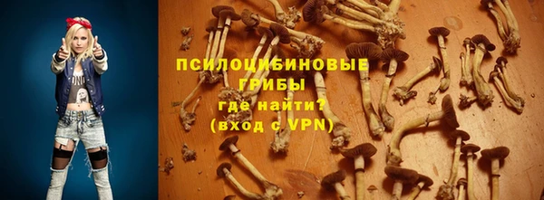 крисы Гусев